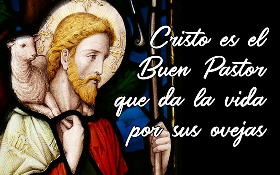 Lecturas del Domingo 4º de Pascua Ciclo C Sembrando Esperanza